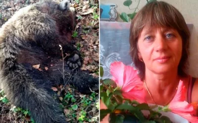 Horrifying Moment Hunters Found A Lady “Buried Alive” And Partially Eaten Following A Bear Assault