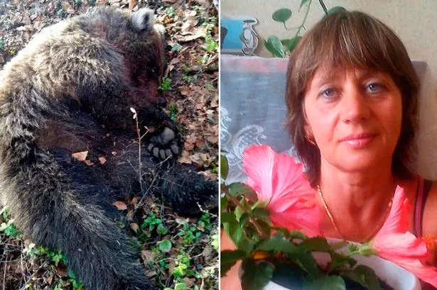 Horrifying Moment Hunters Found A Lady “Buried Alive” And Partially Eaten Following A Bear Assault